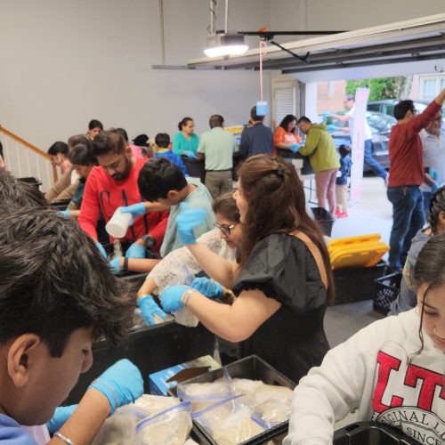 20250511_174620 - Dipal Gandhi (1)